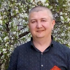 Дмитрий, 48 лет, Димитровград