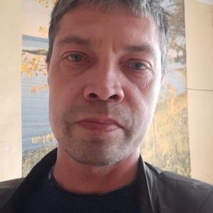 Андрей, 45 лет, Бежецк