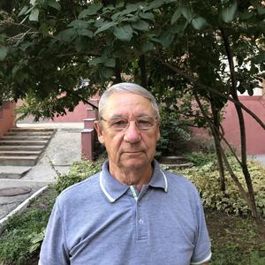 Валерий Астров, 74 года, Самара