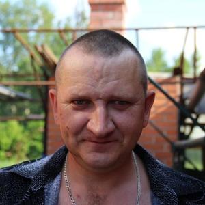 Сергей Калганов, 48 лет, Белово