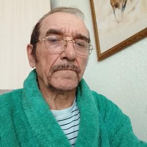 Линер, 67 лет, Казань