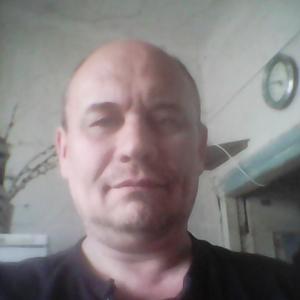 Александр Зуев, 52 года, Шадринск