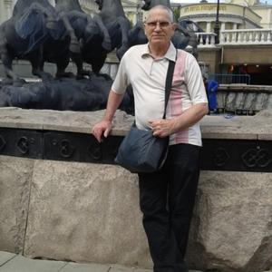 Юрий Лашкевич, 73 года, Лангепас