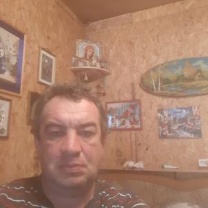Алексей, 54 года, Волосово