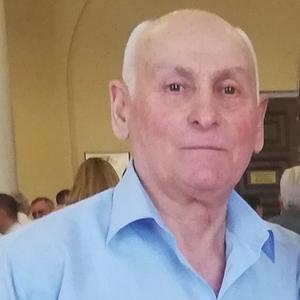 Геннадий, 77 лет, Сочи