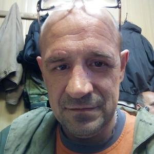 Александр Малахов, 50 лет, Муром