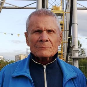 Владимир Сычев, 88 лет, Муром