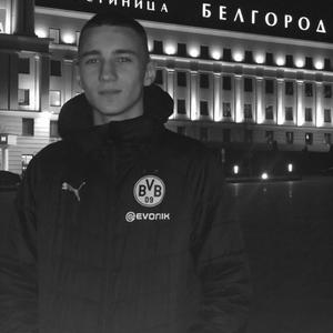 Никита, 22 года, Белгород