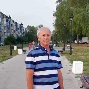Александр, 69 лет, Пермь