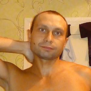 Владимир, 39 лет, Мишкино