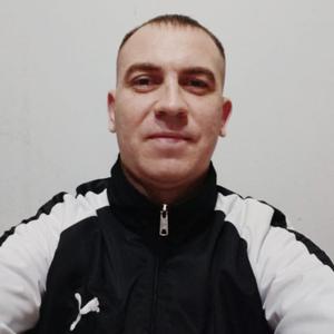 Ярослав, 36 лет, Хабаровск