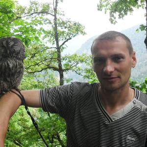 Андрей, 43 года, Лосино-Петровский