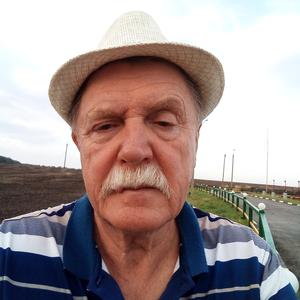 Maik, 67 лет, Таганрог
