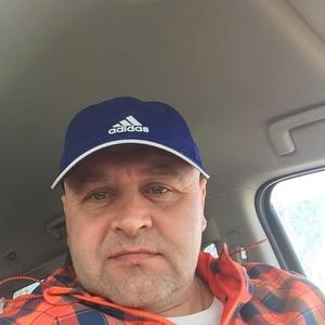 Сергей, 47 лет, Лесной