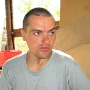 Василий, 42 года, Оленегорск