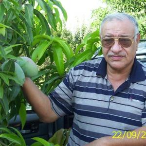 Mahmoud  El Rayess, 66 лет, Зеленоград