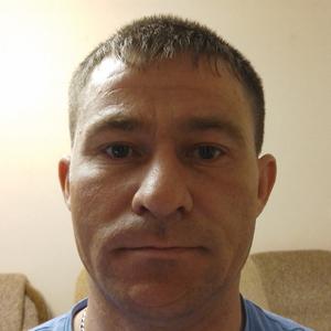 Ivan Krasavcheg, 38 лет, Санкт-Петербург