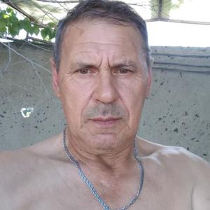 Александр Яшин, 66 лет, Новосибирск