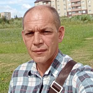 Владимир, 46 лет, Электросталь