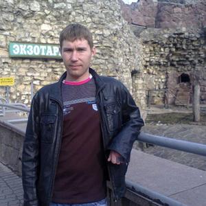 Николай, 37 лет, Красногорск