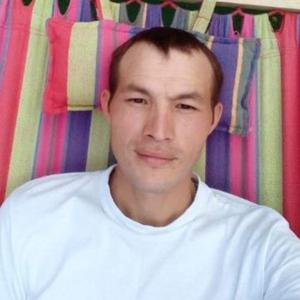 Александр, 31 год, Димитровград