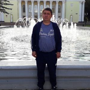 Кондря, 45 лет, Тольятти