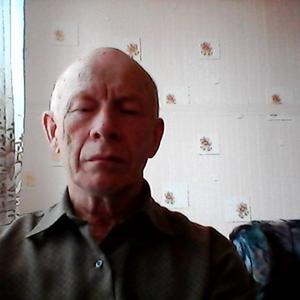 Рафик Файсханов, 75 лет, Набережные Челны