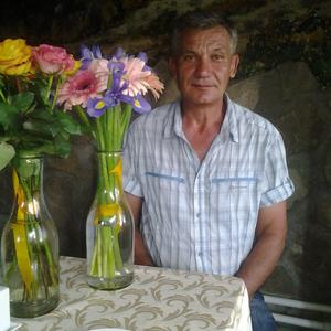 Александр, 65 лет, Дмитров