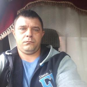 Дмитрий Николаевич, 40 лет, Михайловка