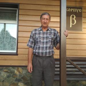 Парни в Димитровграде: Александр, 69 - ищет девушку из Димитровграда