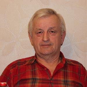 Александр Кольцов, 69 лет, Нижний Новгород