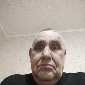 Николай Синицын, 70 лет, Речица