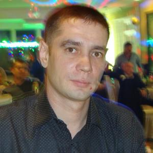 Сергей, 43 года, Тоцкое 2-е