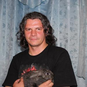 Александр, 44 года, Озерск
