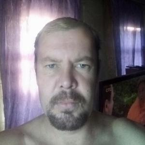 Андрей, 43 года, Белогорск