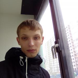 Марк, 31 год, Вологда
