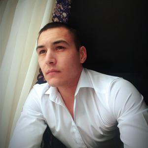 Владимир, 29 лет, Тюмень