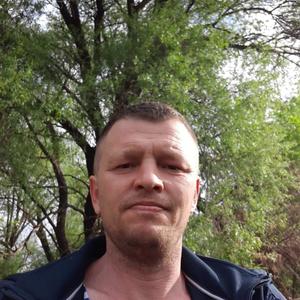 Сергей, 45 лет, Кременки