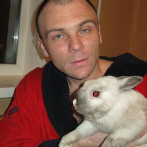 Аркадий, 47 лет, Бийск