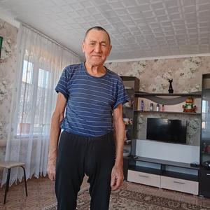 Тагир, 82 года, Набережные Челны