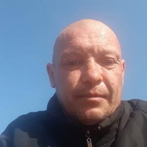 Михаил, 43 года, Краснодарский