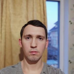 Илья Петров, 27 лет, Светлый