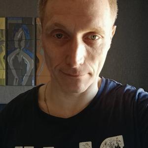 Дмитрий, 52 года, Никольское