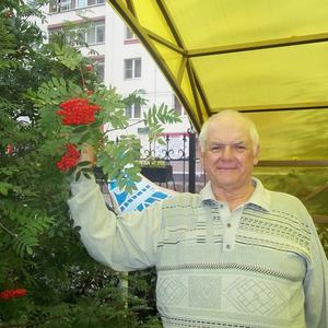 Владимир, 77 лет, Набережные Челны