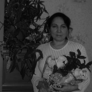 Светлана, 49 лет, Сокол