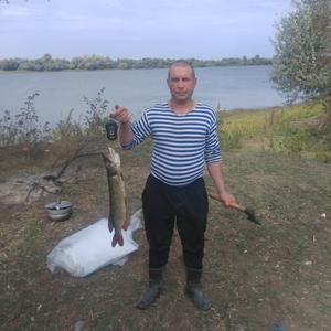 Анатолий, 47 лет, Дмитров