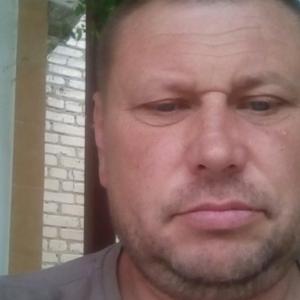 Дмитрий, 49 лет, Богородицк