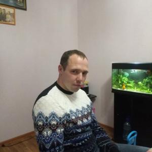 Дима, 34 года, Курск