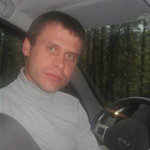 Алексей, 43 года, Электросталь