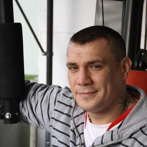 Вадим, 41 год, Kln